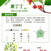 果丁丁
