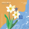 烏啦嘎_水仙