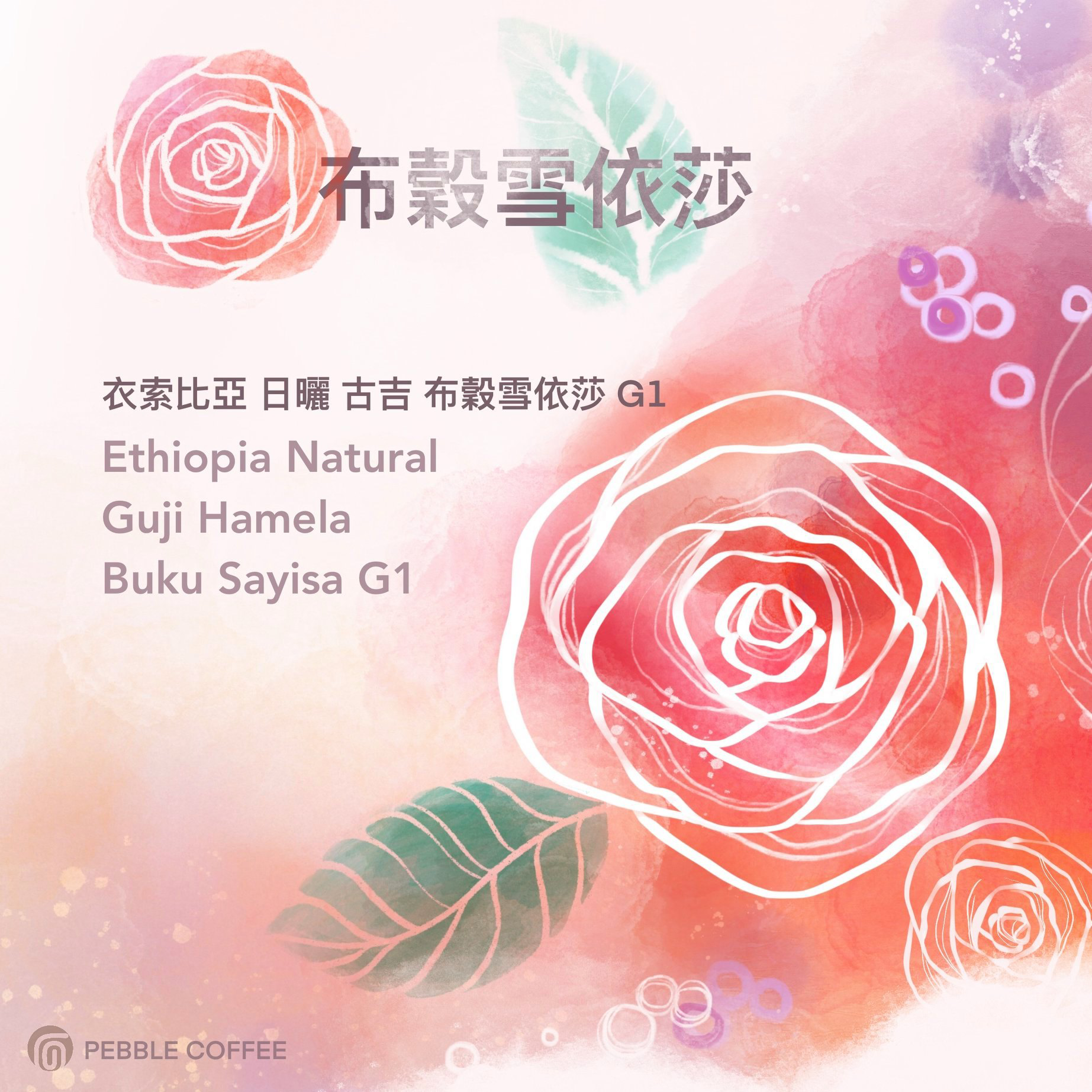 布穀雪依莎02